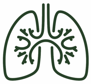 lungs
